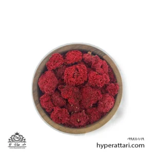 گلنار فارسی