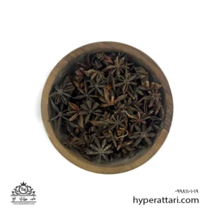 بادیان ستاره ای